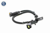Sensor, wheel speed - V53-72-0029