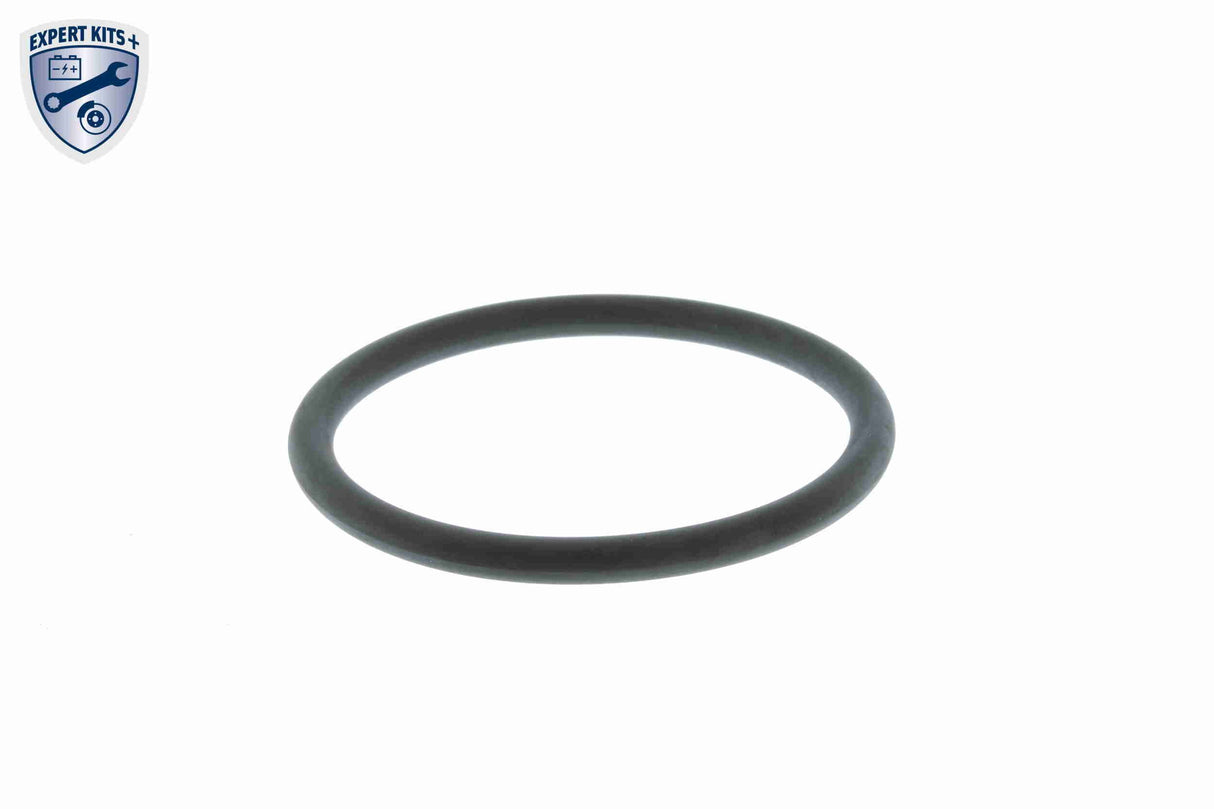 Thermostat, coolant - V15-99-2063