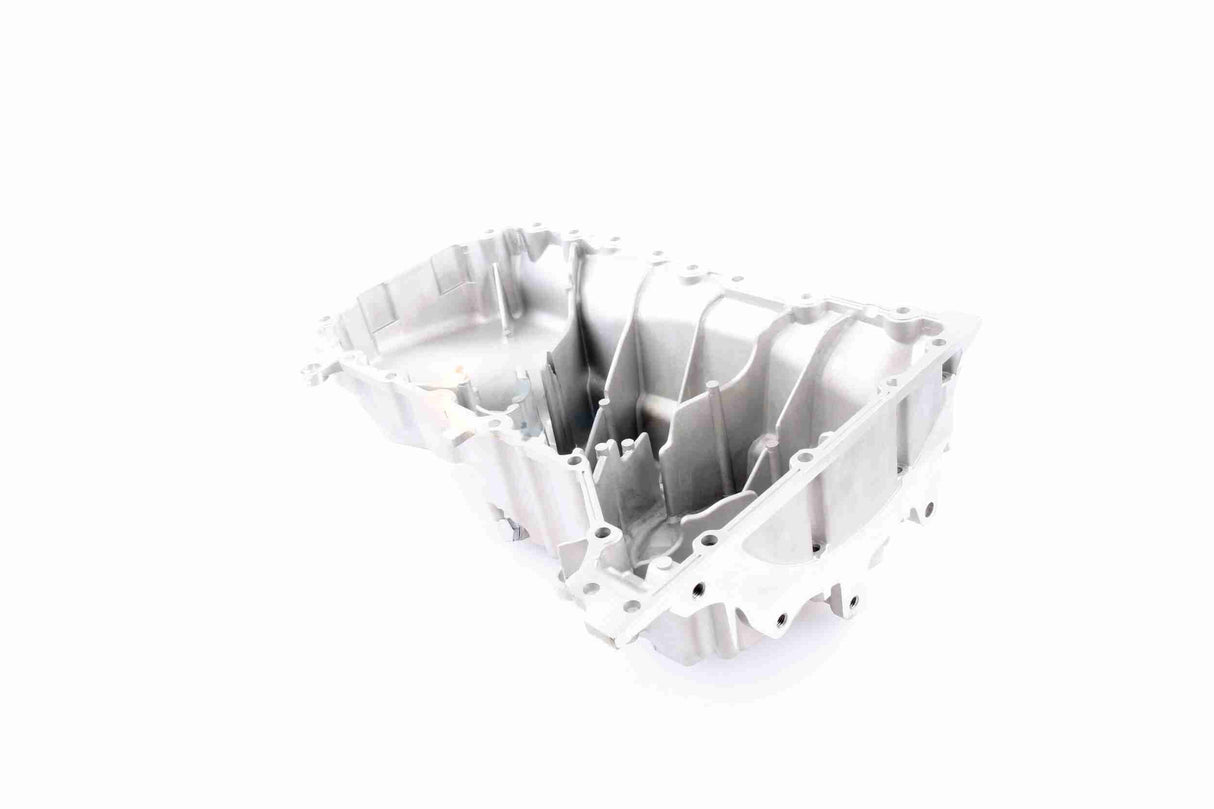 Oil Sump - V10-4801