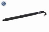 Electric Motor, tailgate - V10-55-0036