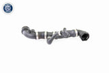 Radiator Hose - V20-1266
