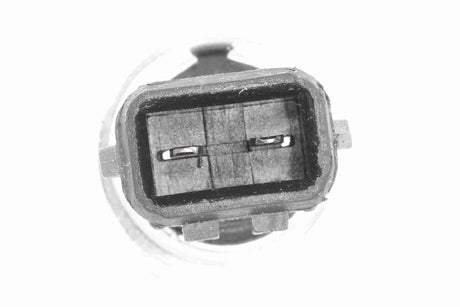 Switch, reverse light - V10-73-0119