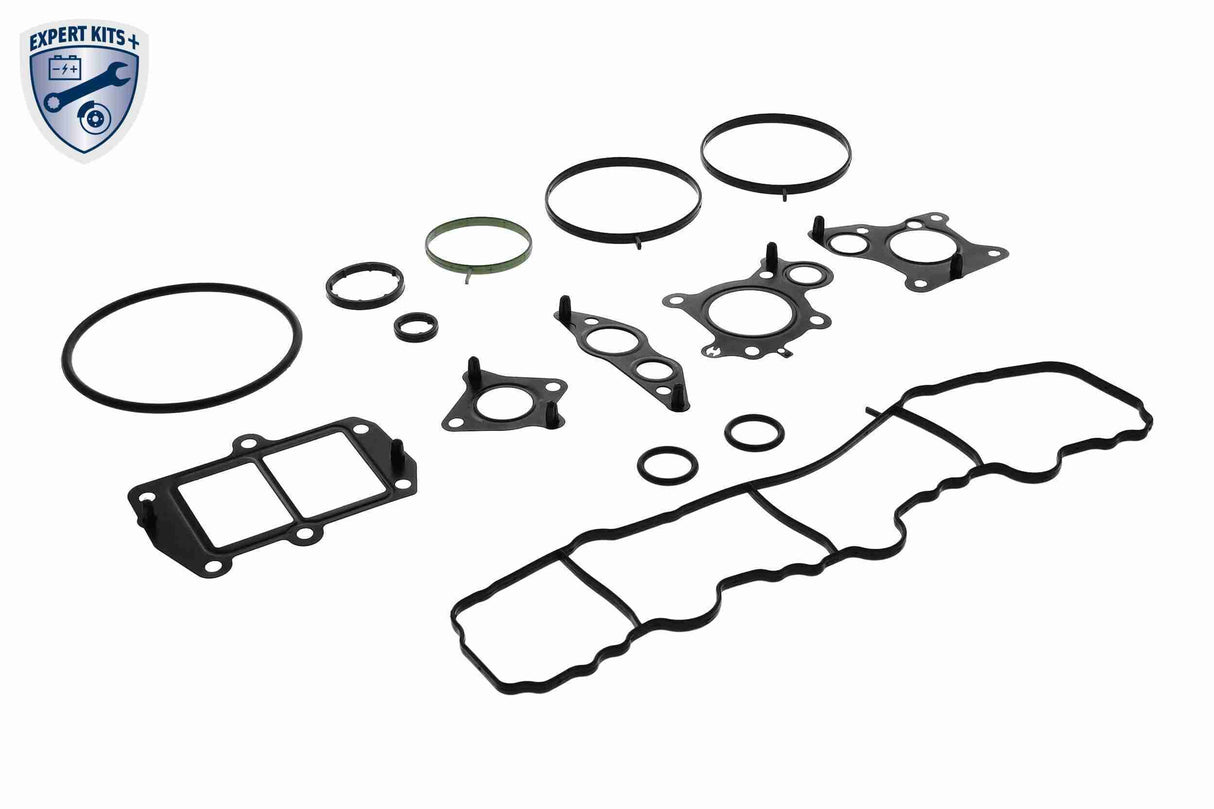 Gasket Set, oil cooler - V30-60-91315