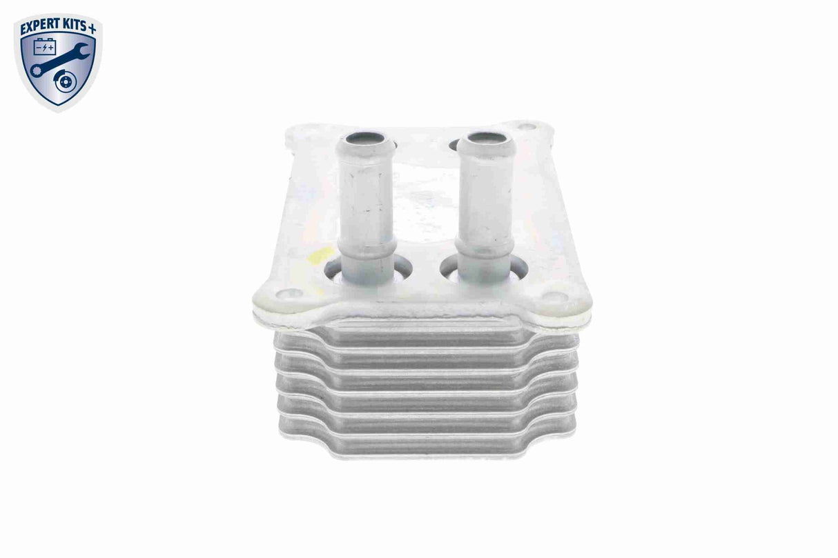 Oil Cooler, engine oil - V25-60-0031