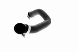 Radiator Hose - V20-2463