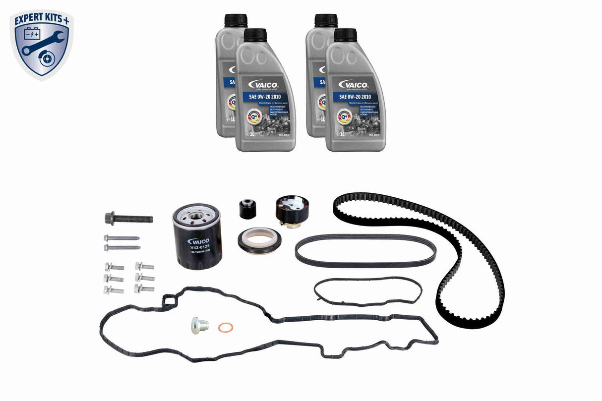 Timing Belt Kit - V22-1329