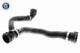 Radiator Hose - V20-1284