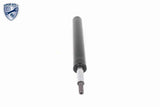 Shock Absorber - V10-1704