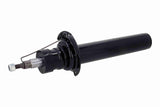 Shock Absorber - V20-4257