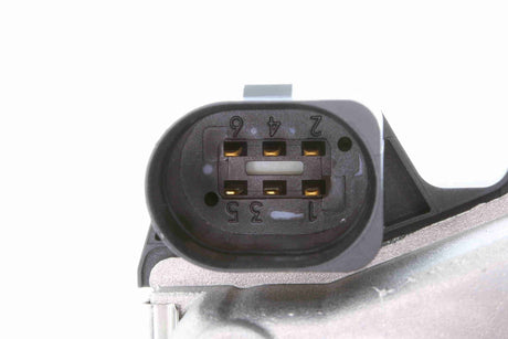 Throttle Body - V10-81-0065