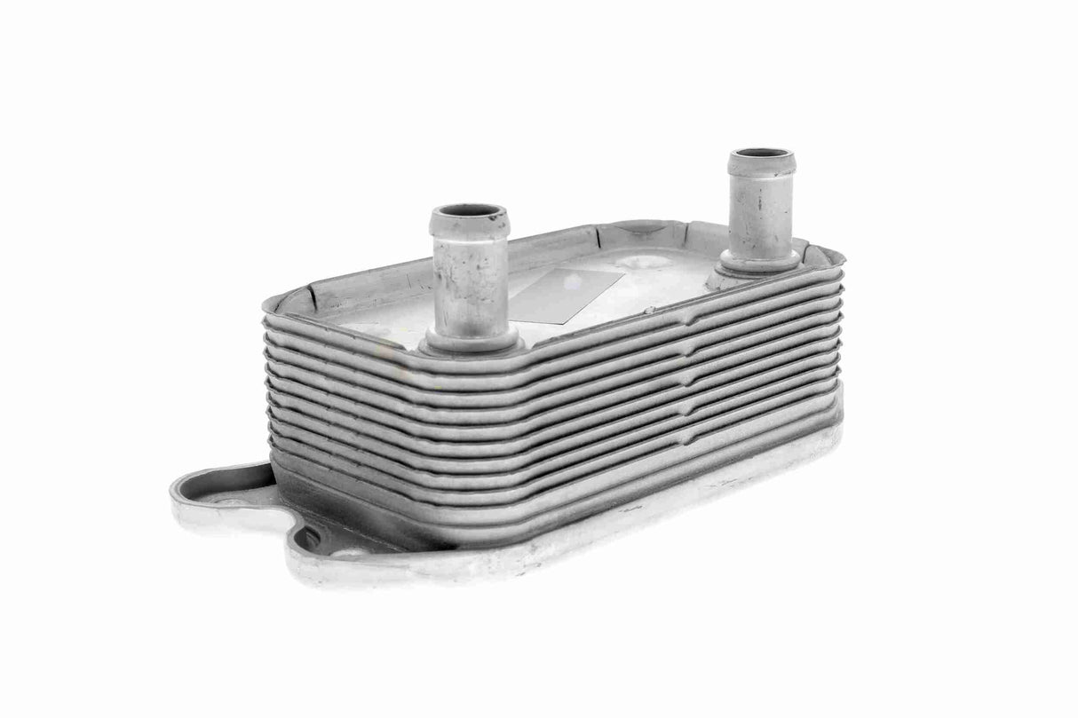 Oil Cooler, engine oil - V95-60-0012