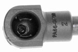Gas Spring, bonnet - V20-0985