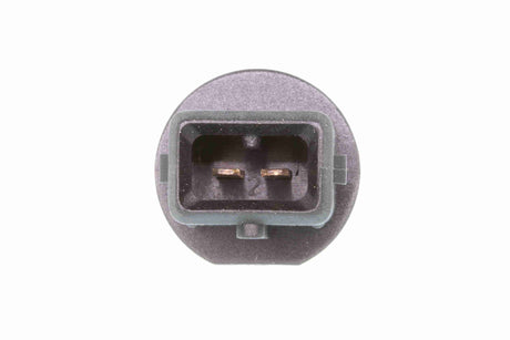 Sensor, intake air temperature - V24-72-0044