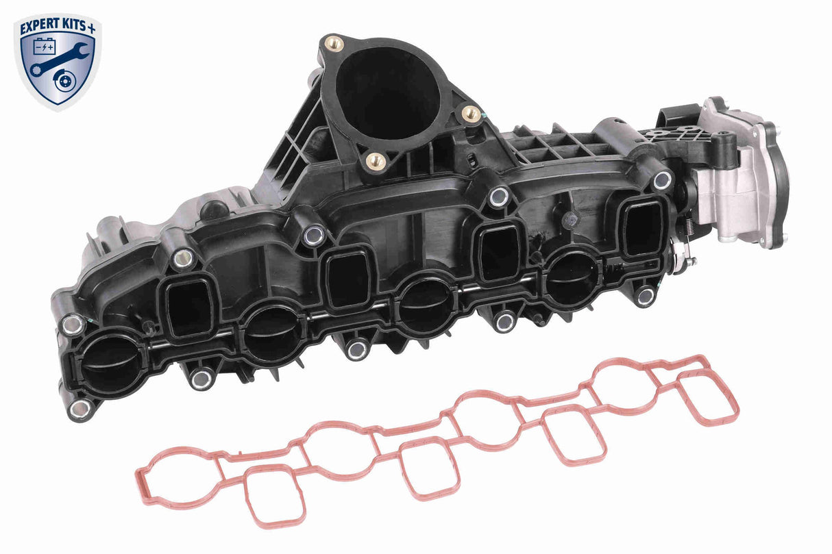 Intake Manifold Module - V10-5269