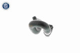 Radiator Hose - V20-1268