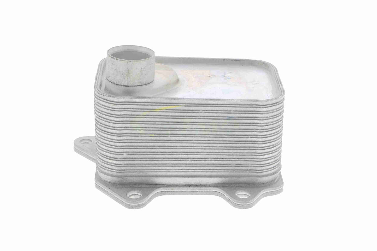 Oil Cooler, engine oil - V15-60-6068