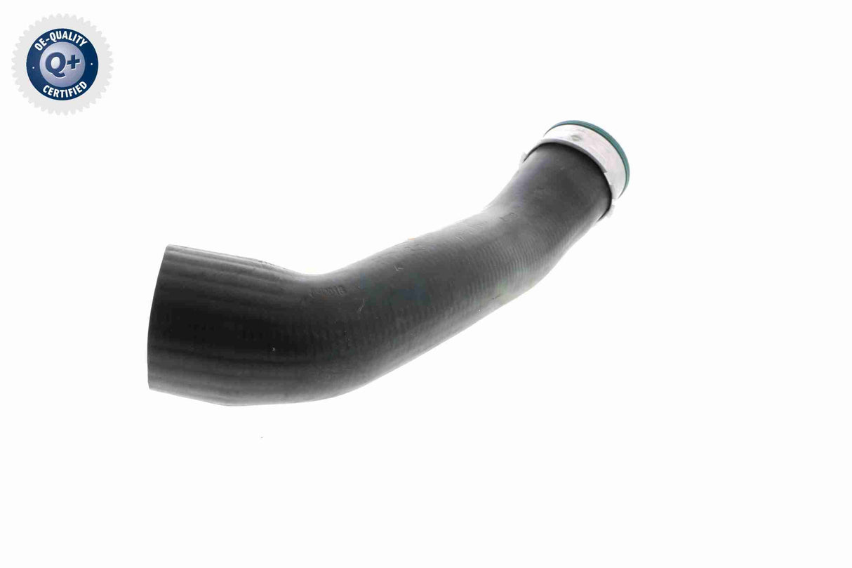 Charge Air Hose - V20-1625