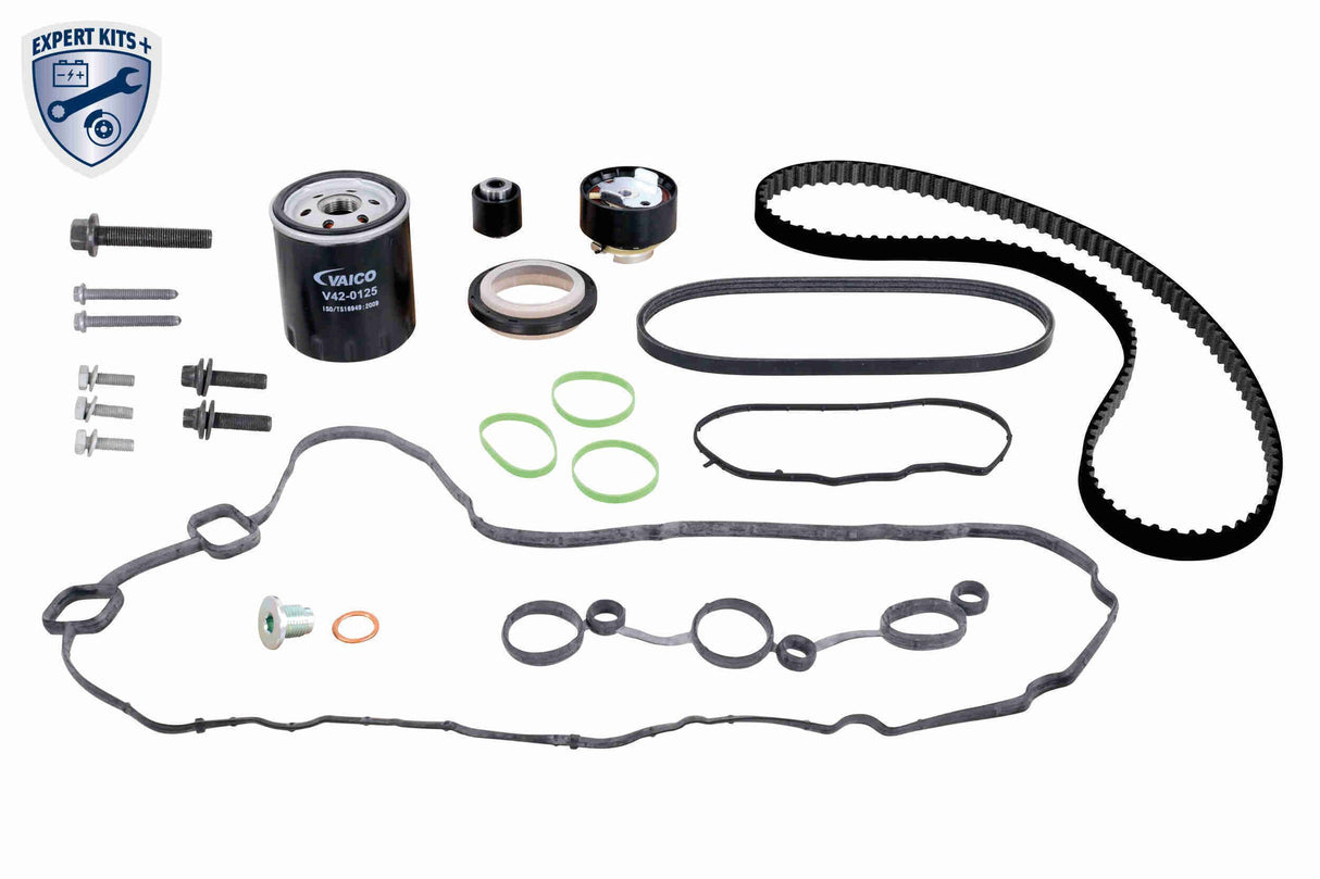 Timing Belt Kit - V22-1411