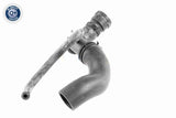 Radiator Hose - V10-3915