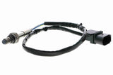 Oxygen Sensor - V10-76-0155