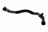 Radiator Hose - V20-5258