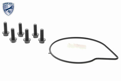 Water Pump, engine cooling - V48-50004
