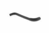 Hose, crankcase ventilation - V10-2273