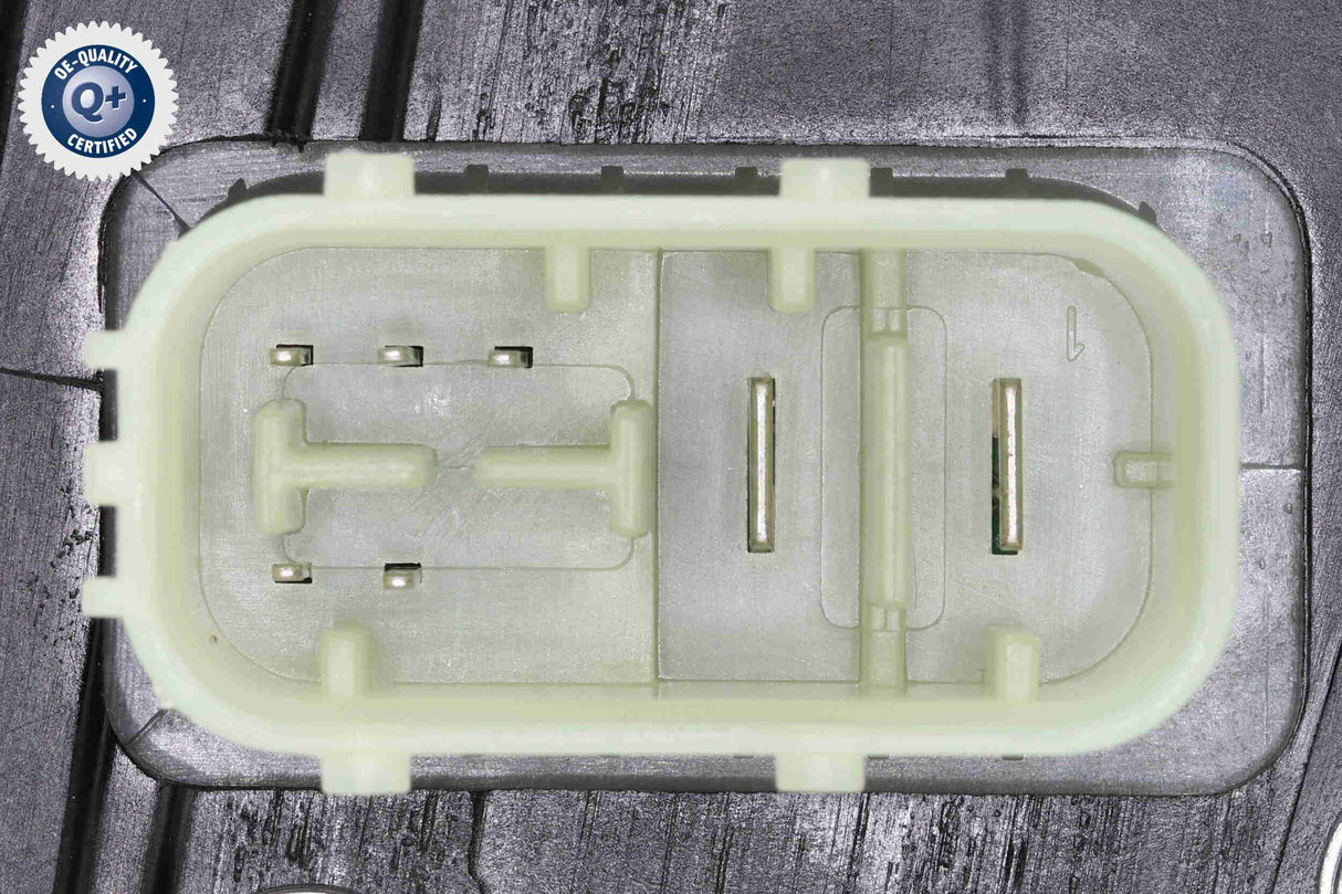 Fuel Filter - V24-1342