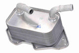 Oil Cooler, engine oil - V15-60-6019