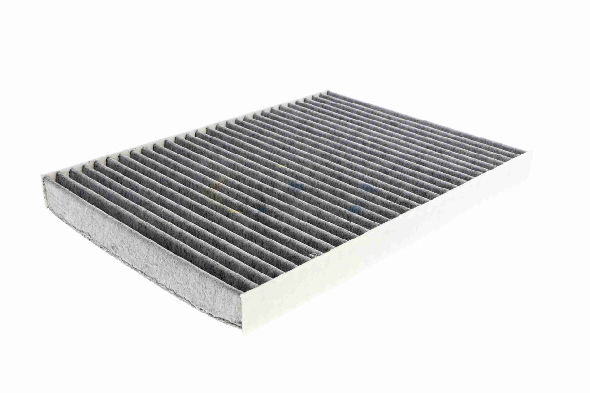 Filter, cabin air - V10-31-1040-1
