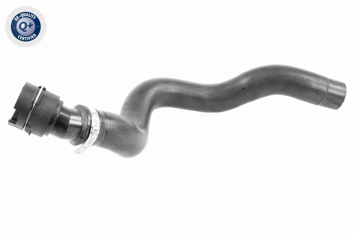 Radiator Hose - V25-1503