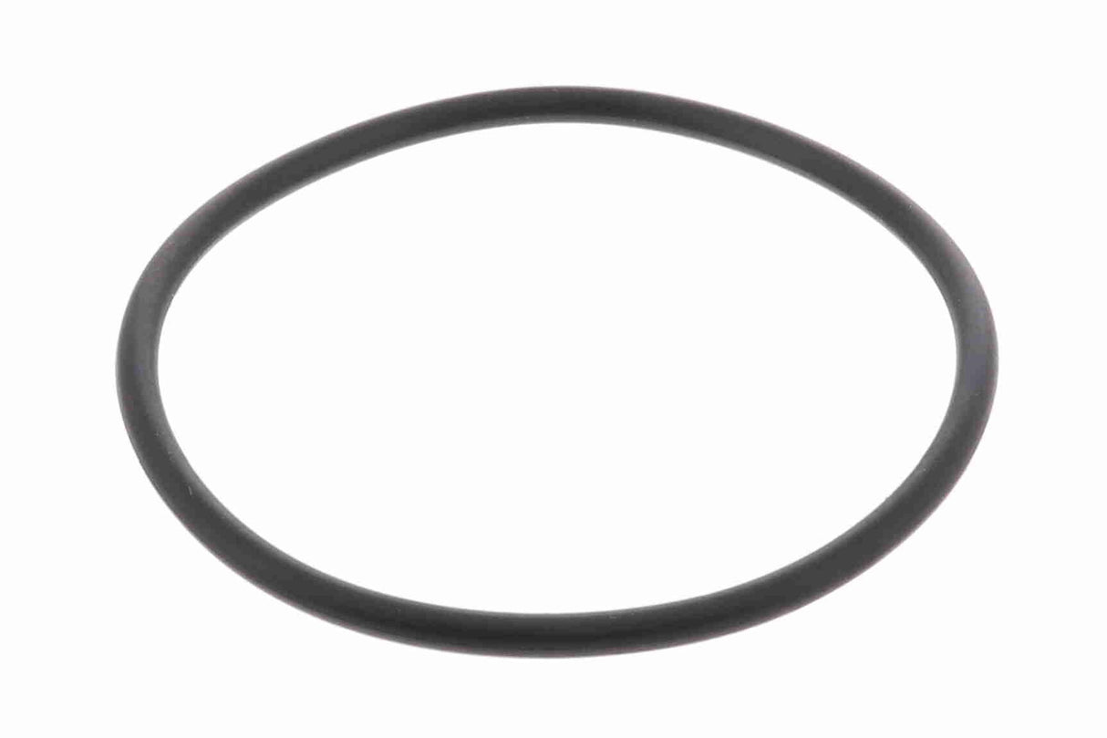 Thermostat, coolant - V24-99-1273