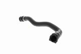 Radiator Hose - V20-3862