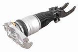 Air Suspension Strut - V10-50-0002