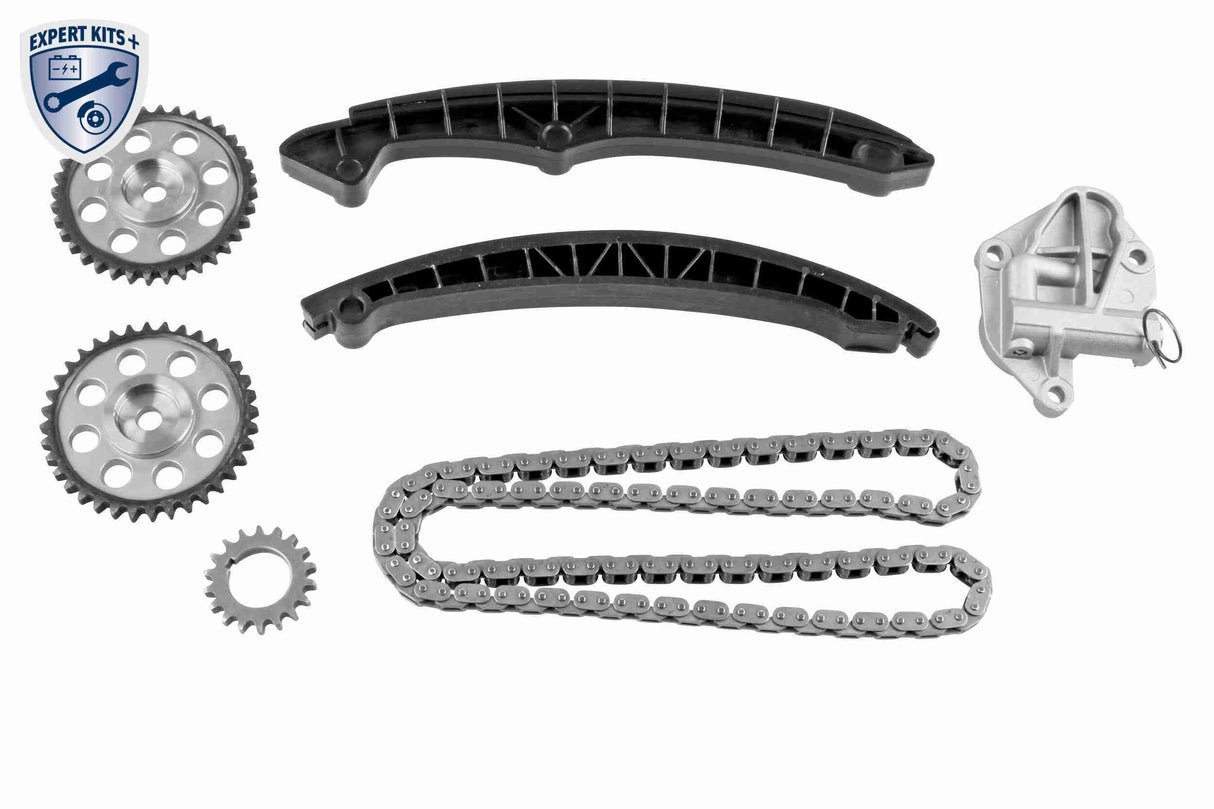 Timing Chain Kit - V10-10014-SP