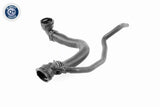 Radiator Hose - V10-4367