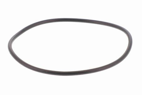 Hydraulic Filter, automatic transmission - V10-5394