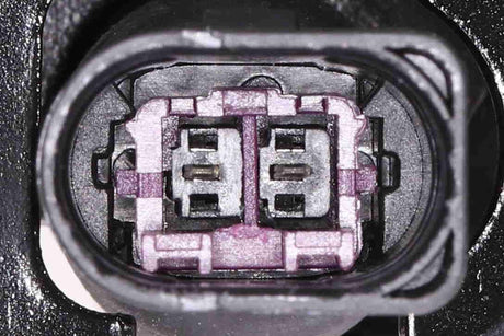 Air Suspension Strut - V10-50-0001