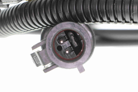 Sensor, wheel speed - V25-72-1124