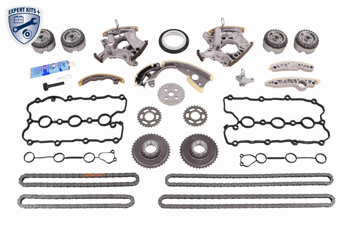 Timing Chain Kit - V10-10011