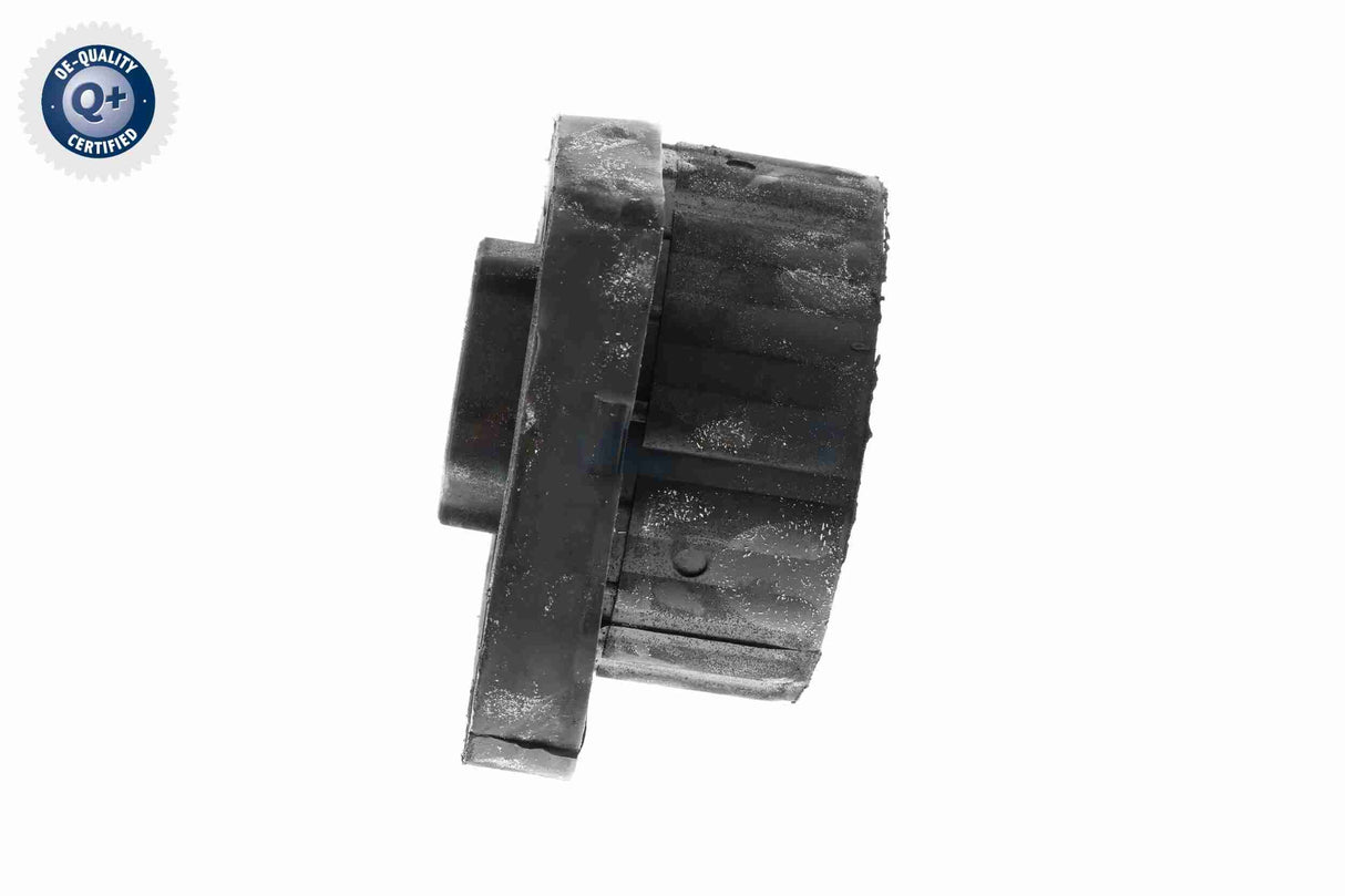 Mounting, automatic transmission - V20-0799