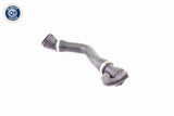 Radiator Hose - V20-1331