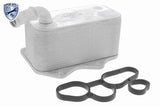 Oil Cooler, engine oil - V15-60-6018