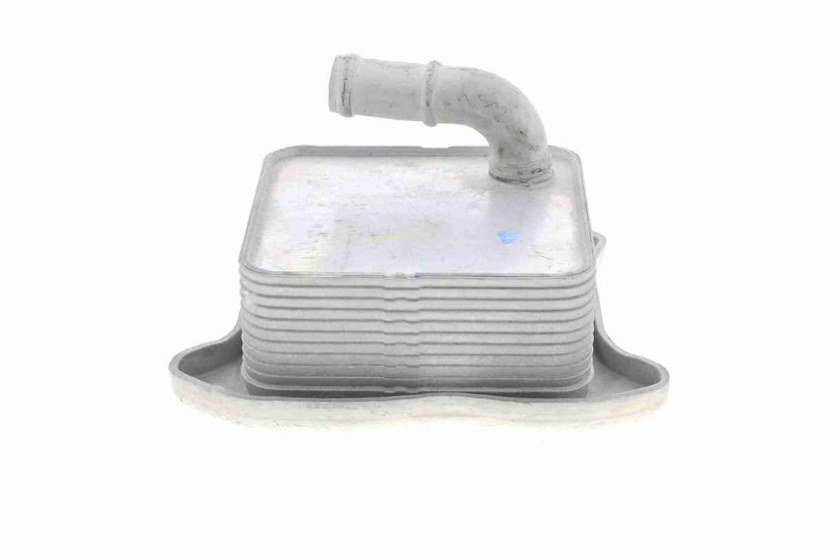 Oil Cooler, engine oil - V15-60-6062