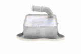 Oil Cooler, engine oil - V15-60-6062