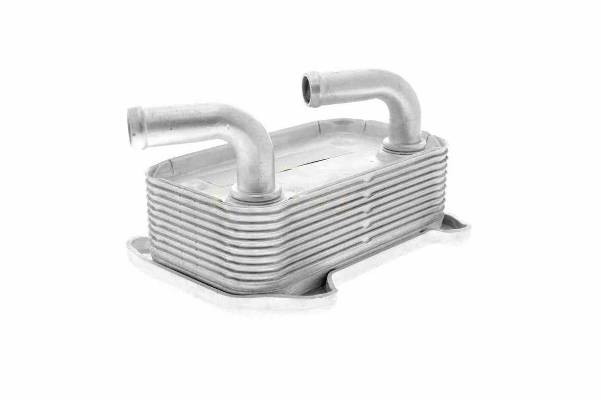 Oil Cooler, engine oil - V95-60-0010