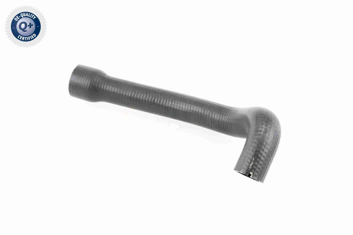 Charge Air Hose - V24-0719