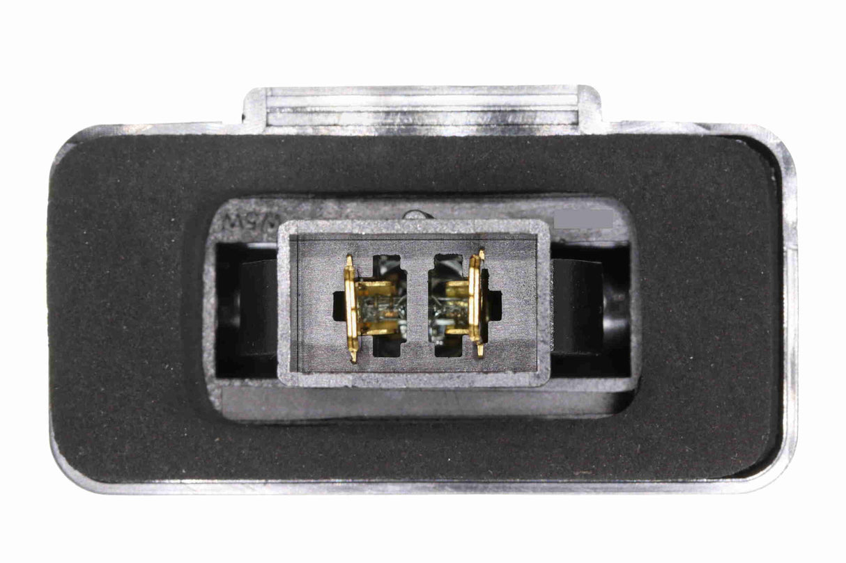 Licence Plate Light - V25-84-0017