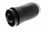 Air Suspension Strut - V20-50-0004-1