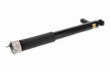 Shock Absorber - V30-3863